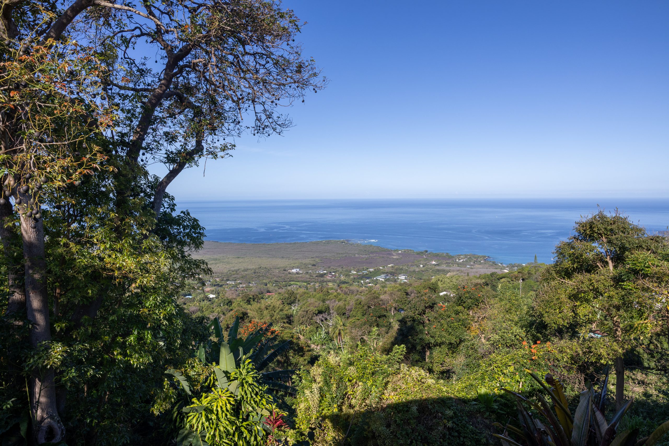 view from the coffee shack on big island hawaii