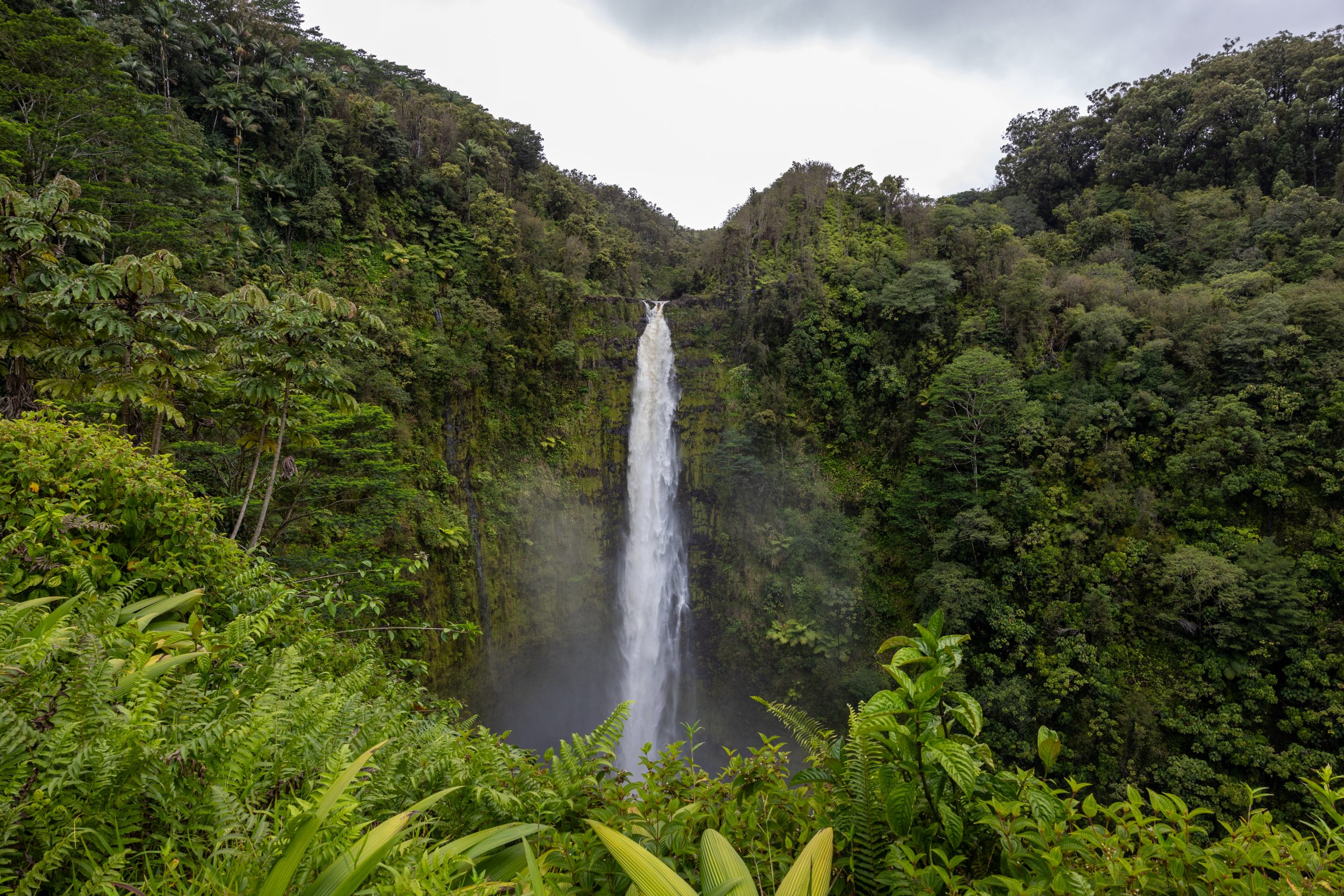 akaka falls on big island hawaii