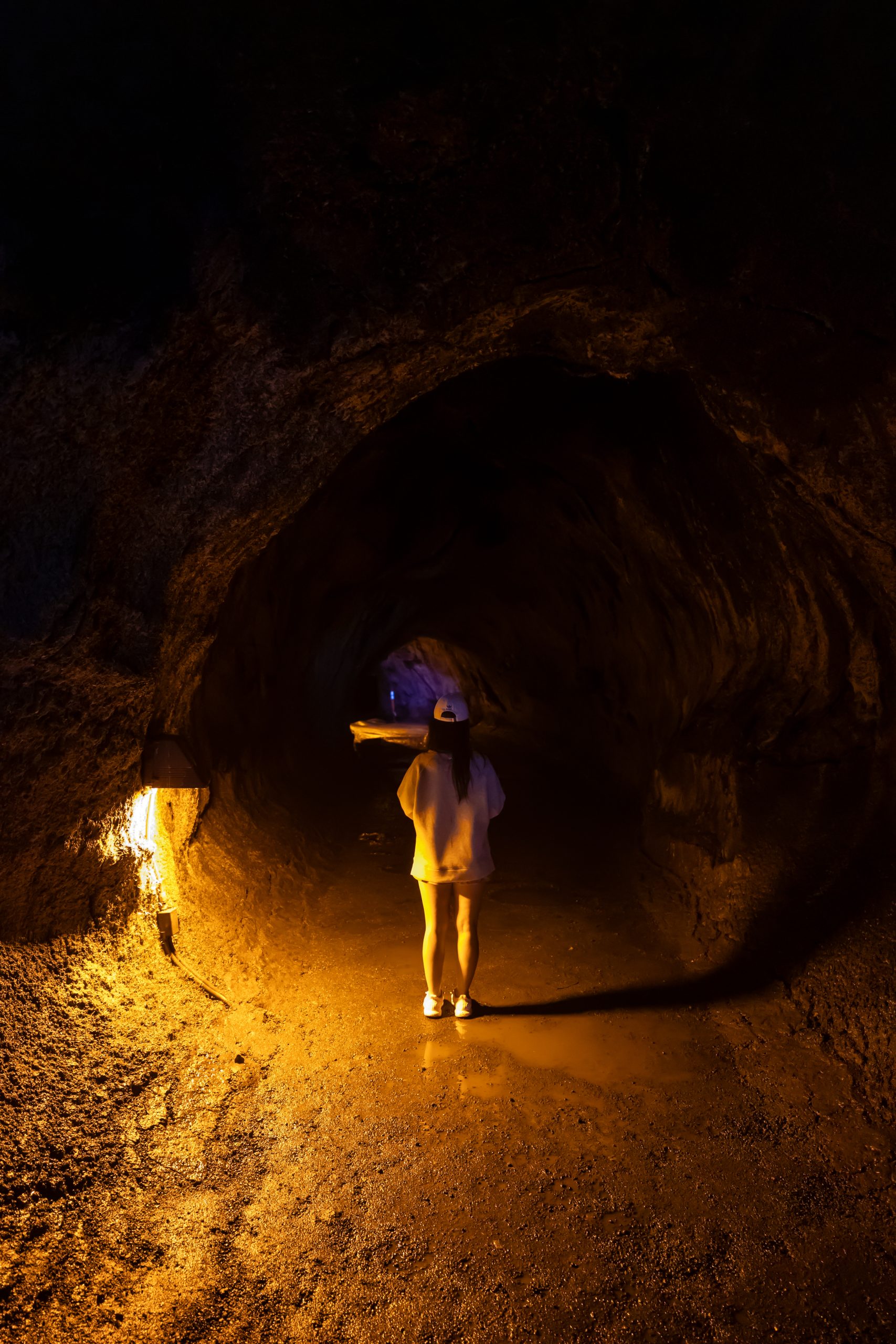 nahuku (thurston lava tube) at volcanoes national park on big island hawaii